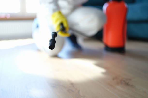 Best Crawl Space Mold Remediation  in Tawas City, MI